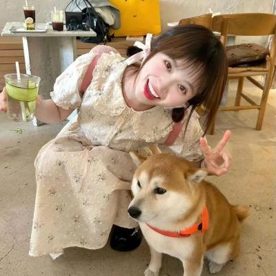 燕子符
